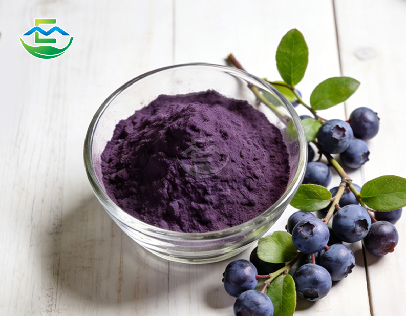 Bilberry Extract powder